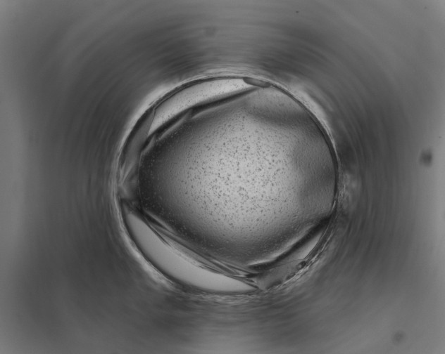 X0000097851005200803281244