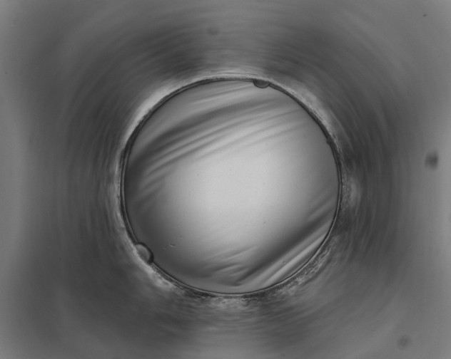 X0000097851006200803281244