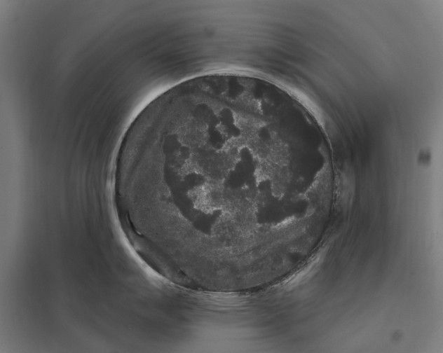 X0000097851007200803281244