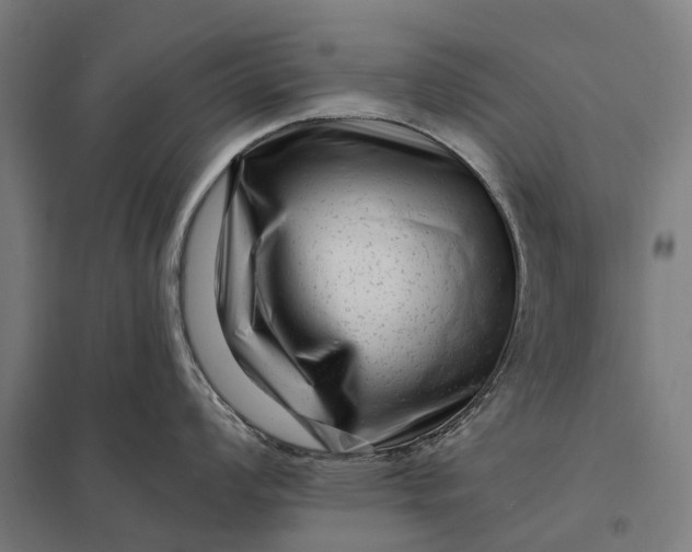 X0000097851008200803281244