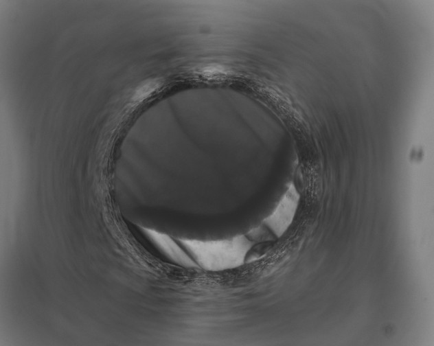 X0000097851009200803281243