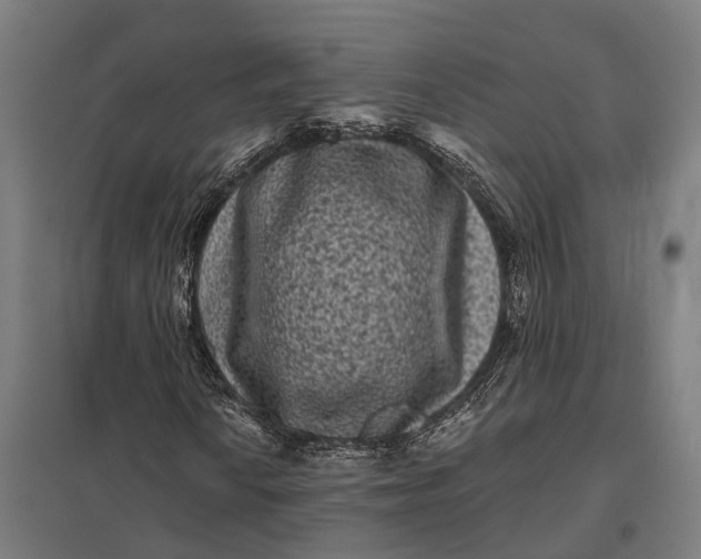 X0000097851010200803281243