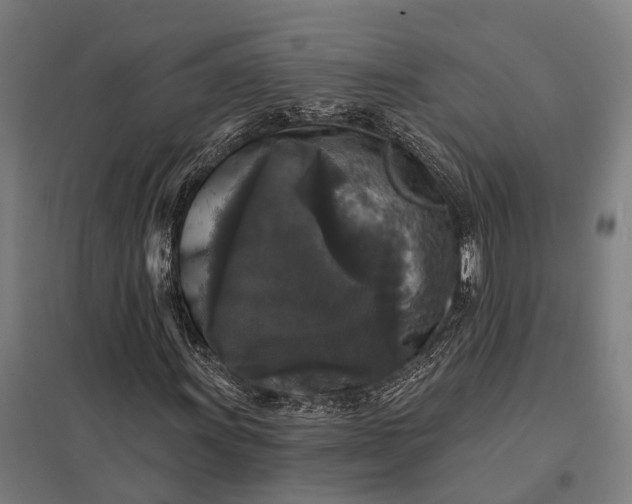 X0000097851011200803281243