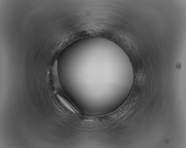 X0000097851012200803281243