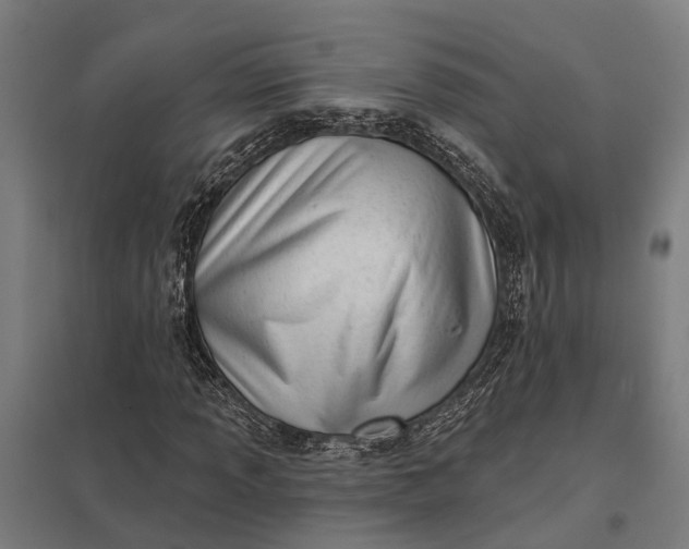 X0000097851013200803281243