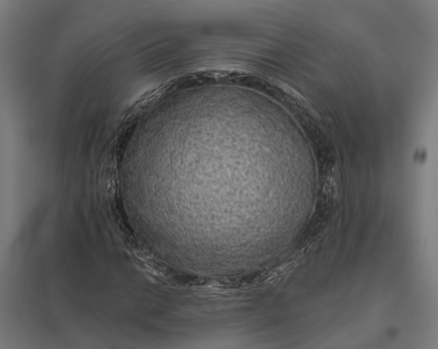 X0000097851014200803281243