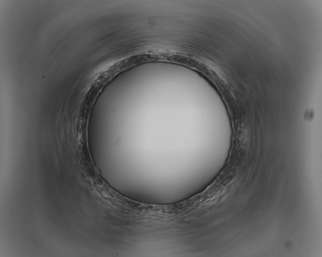 X0000097851016200803281243