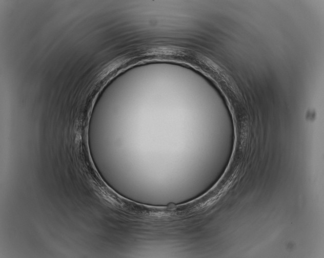 X0000097851017200803281243