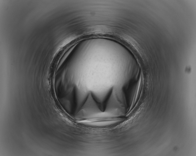 X0000097851018200803281243