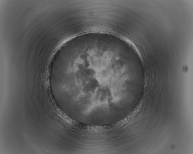 X0000097851019200803281243