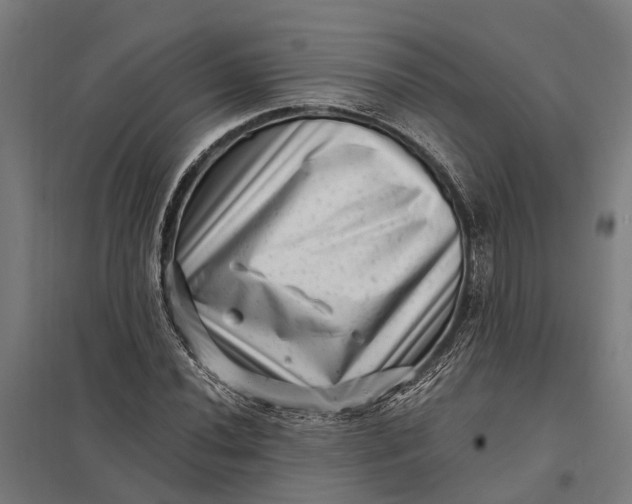 X0000097851020200803281243