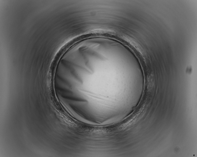 X0000097851021200803281243