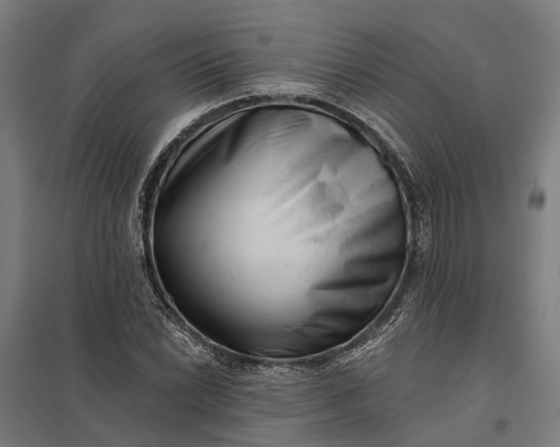 X0000097851022200803281243