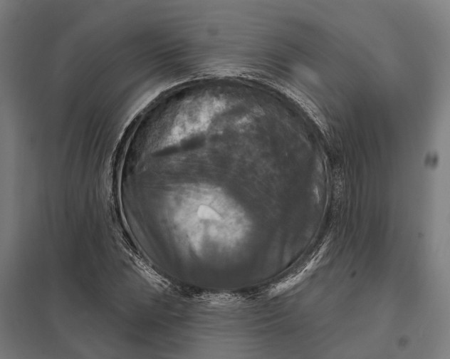 X0000097851023200803281243