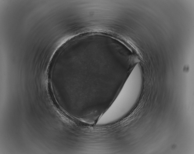 X0000097851024200803281243