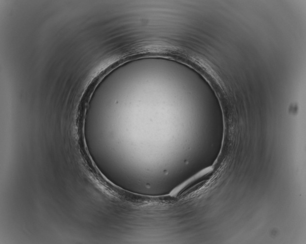 X0000097851026200803281243