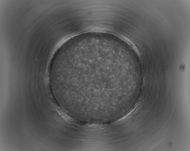 X0000097851027200803281243