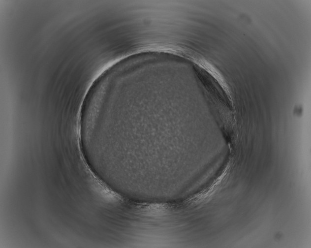 X0000097851028200803281243