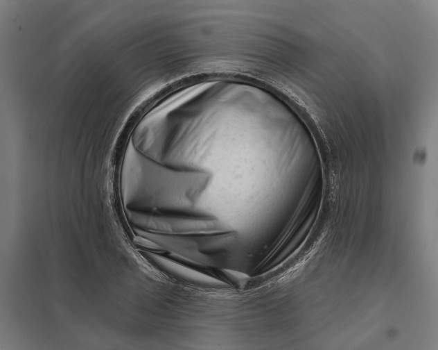 X0000097851029200803281243