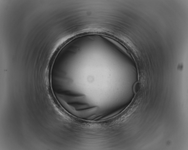 X0000097851030200803281243