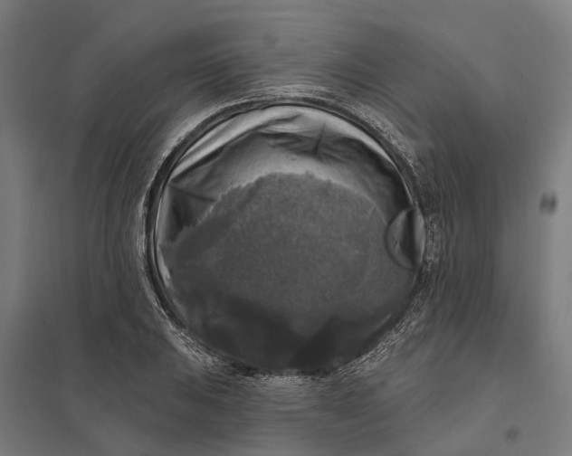 X0000097851031200803281243