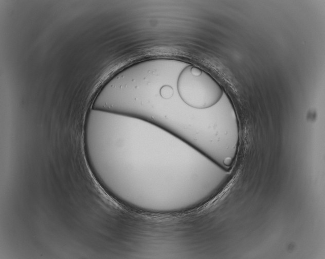 X0000097851033200803281243