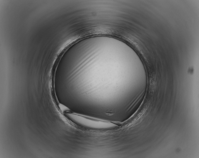 X0000097851034200803281243