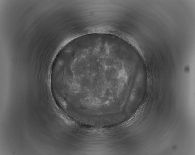 X0000097851035200803281243