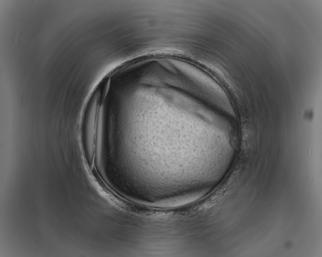 X0000097851038200803281243