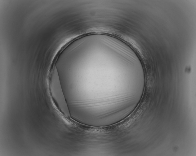 X0000097851040200803281243