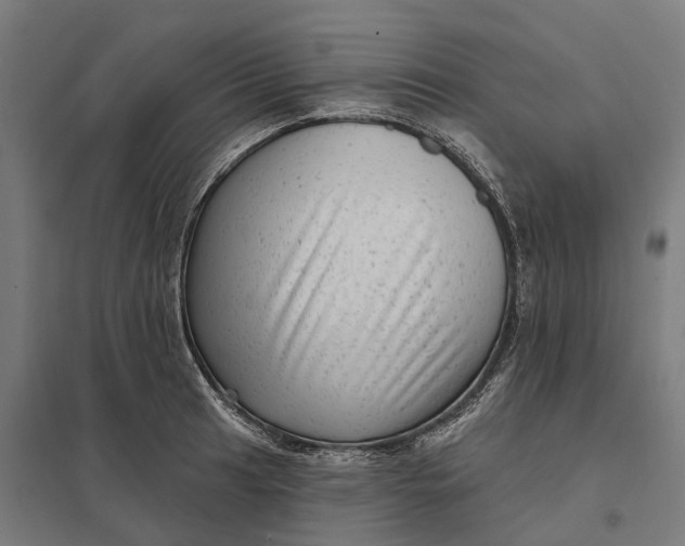 X0000097851041200803281243