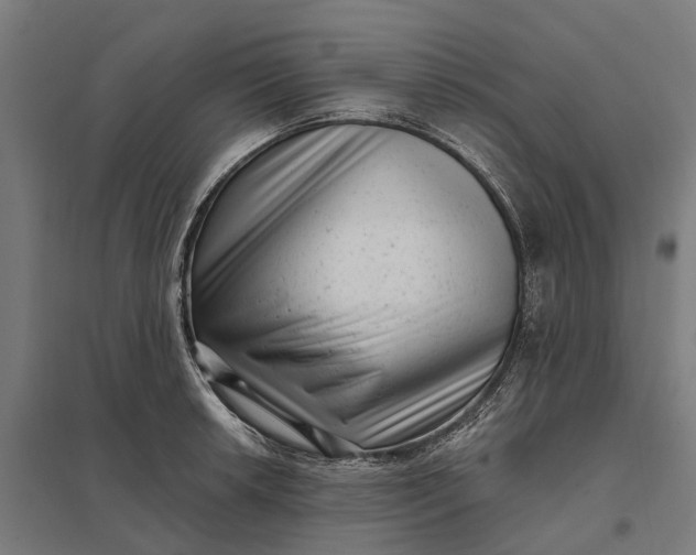 X0000097851042200803281243