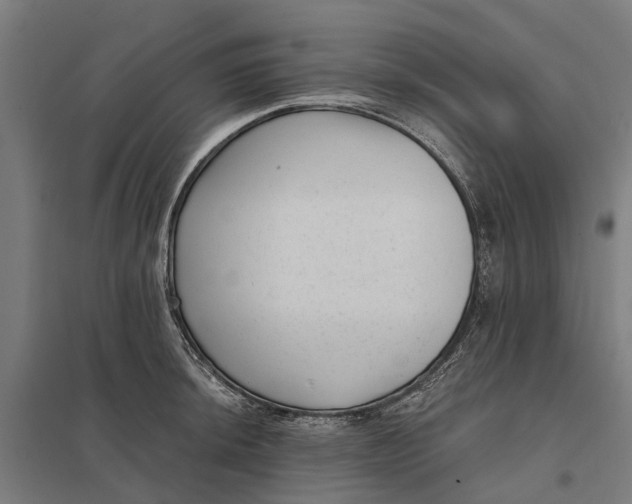 X0000097851044200803281243