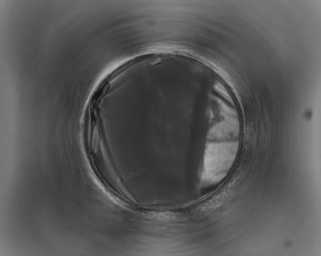 X0000097851045200803281243