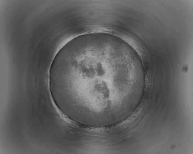 X0000097851047200803281243