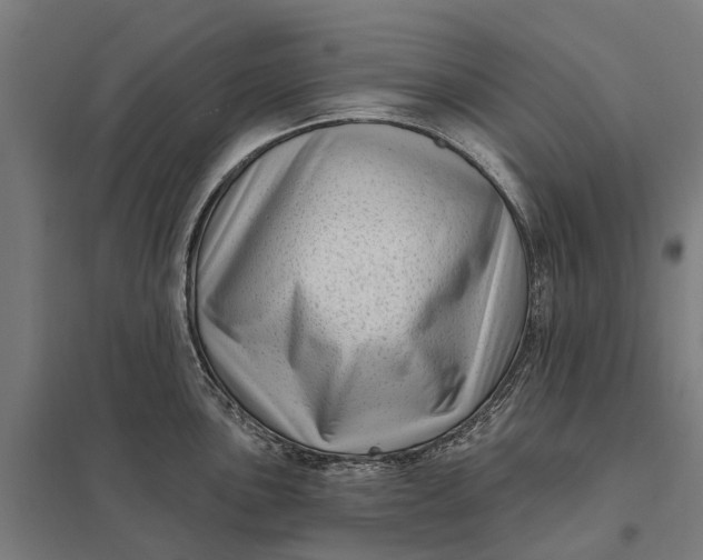 X0000097851051200803281243