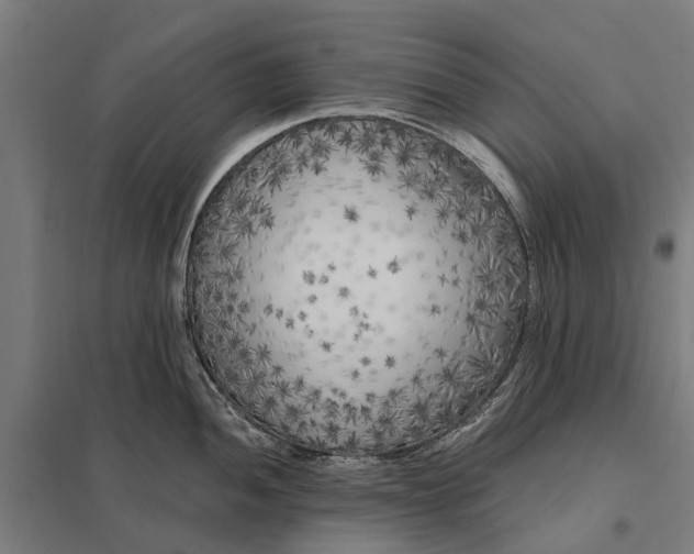 X0000097851052200803281243