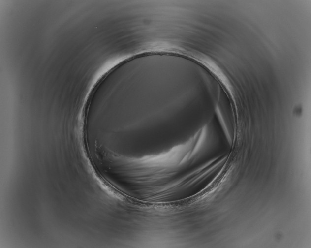 X0000097851053200803281243