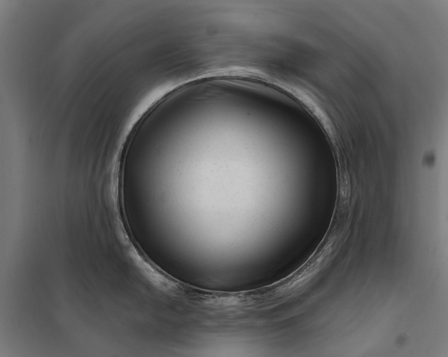 X0000097851054200803281243