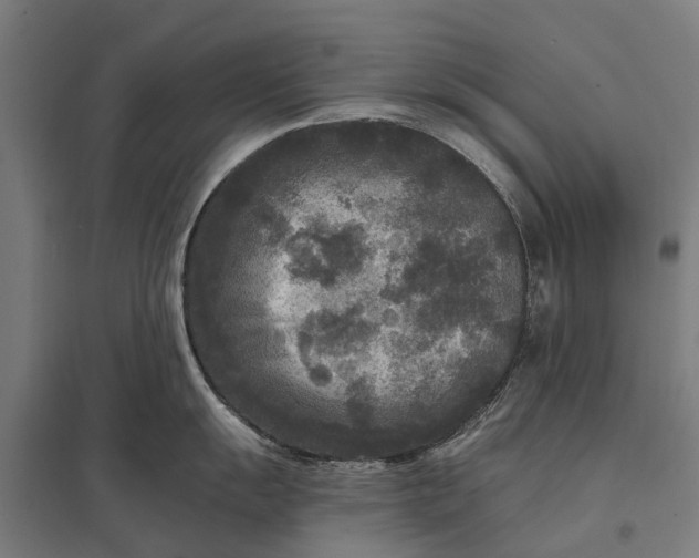 X0000097851055200803281243