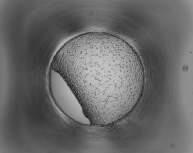 X0000097851056200803281243