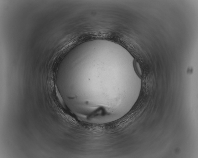 X0000097851058200803281243