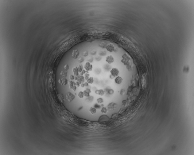 X0000097851059200803281243