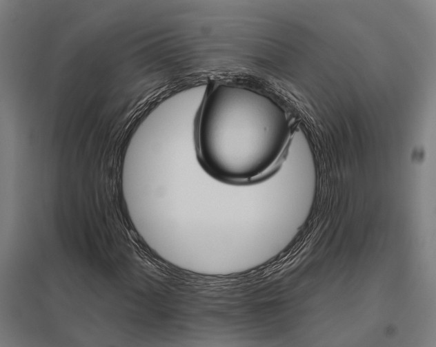 X0000097851060200803281243