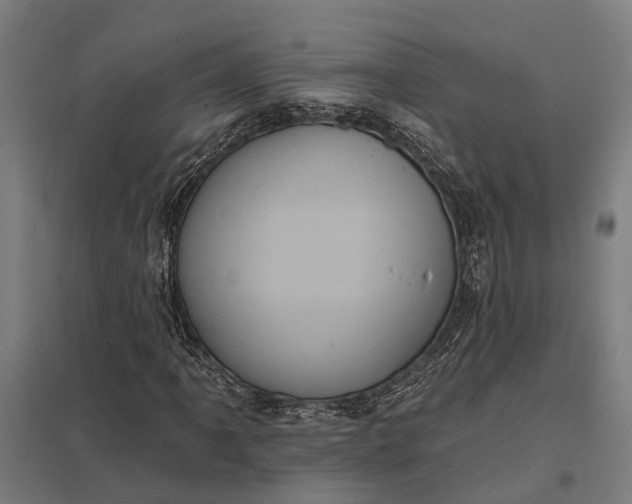 X0000097851061200803281243