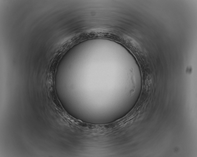 X0000097851062200803281243