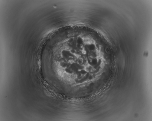 X0000097851063200803281243