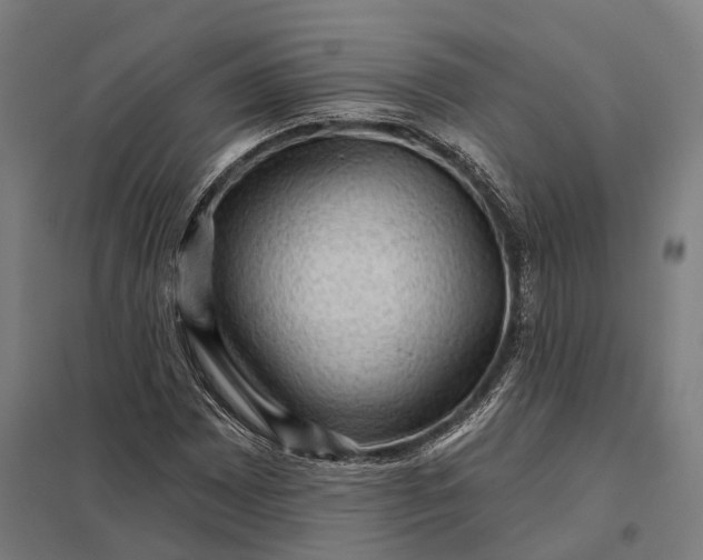 X0000097851065200803281243