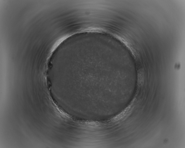 X0000097851066200803281243