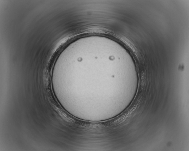 X0000097851067200803281243